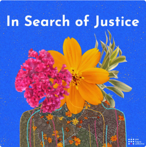 In search of justice